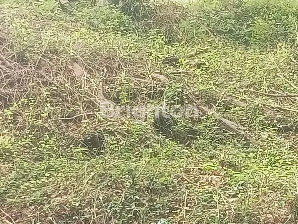 image JUAL TANAH PADANG BAI KARANGASEM (2)