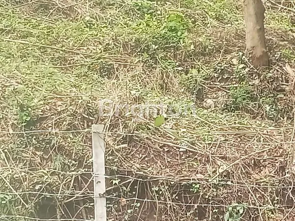 image JUAL TANAH PADANG BAI KARANGASEM (4)