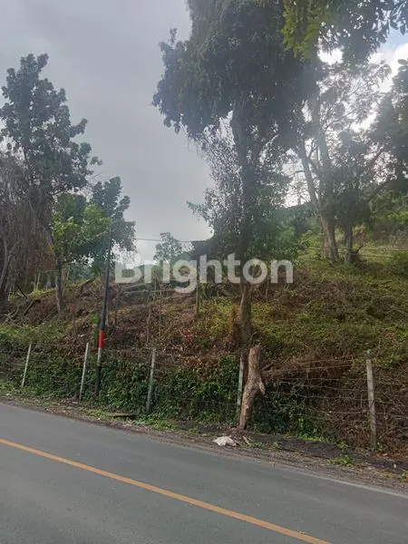 image JUAL TANAH PADANG BAI KARANGASEM (5)