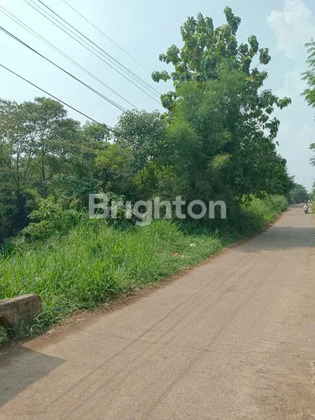 image TANAH DARAT STRATEGIS DENGAN AKSES LANGSUNG JALAN DESA (2)