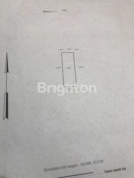 image TANAH UNGASAN BALI (4)