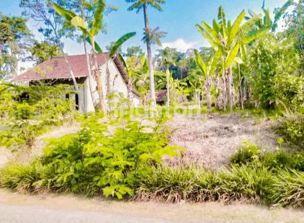 image BOYOLALI PUNYA TANAH BAGUS  (1)