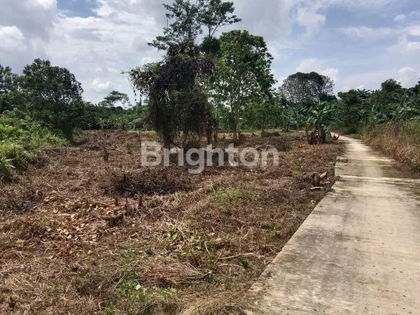 image DIJUAL TANAH PINGGIR JALAN HANYA 5 MENIT DARI JALUR IBU KOTA NEGARA IKN  (1)