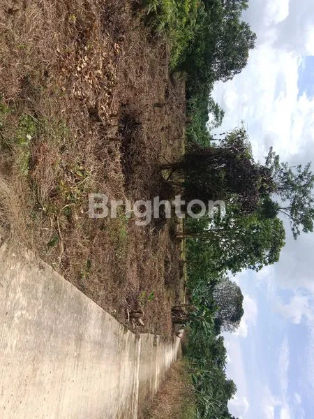 image DIJUAL TANAH PINGGIR JALAN HANYA 5 MENIT DARI JALUR IBU KOTA NEGARA IKN  (2)