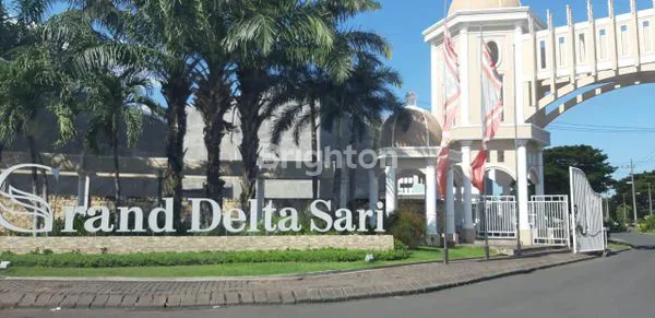 image TERMURAH! GRAND DELTASARI CLUSTER ANTHURIUM (5)