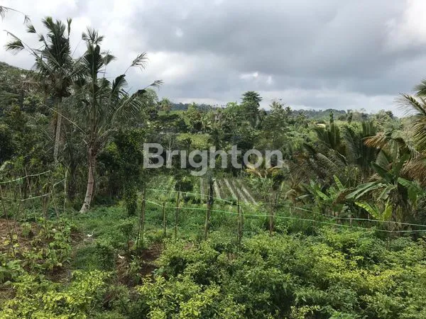 image TANAH KERTA PAYANGAN (1)