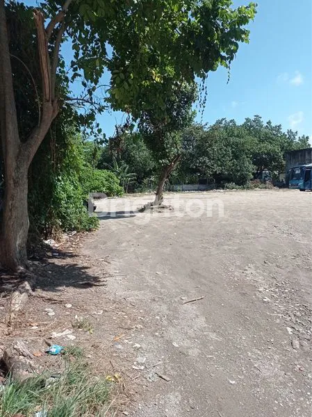 image TANAH BEACHFRONT DI PANTAI JERMAN COCOK DIBANGUN HOTEL, RESTO ATAU VILLA (6)