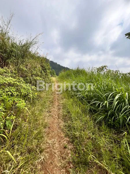 image TANAH KAVLING ABDUL GHANI KOTA BATU (2)