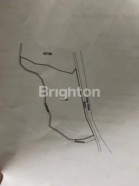 TANAH DESA TENJOLAYA BANDUNG (CIWIDEY)