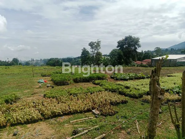 image TANAH VIEW GUNUNG BUAT VILLA SISI JALAN  (1)