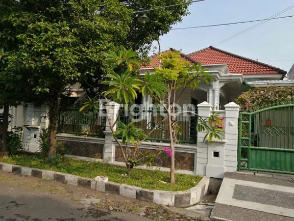 image MANYAR KARTIKA TIMUR (1)