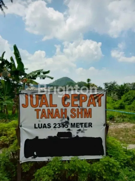 image BUTUH JUAL CEPAT TANAH NOL JALAN RAYA BEJI BATU..LOKASI DEKAT DENGAN JATIM PARK III (1)