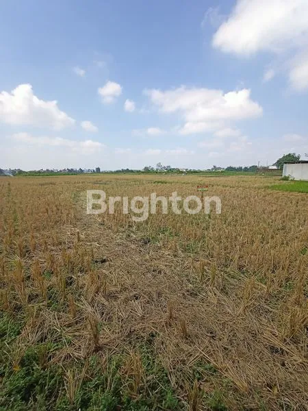 image TANAH LUAS MURAH DAN STRATEGIS DI TENGAH KOTA MALANG DEKAT DI TASIKMADU DEKAT DENGAN WILAYAH KAMPUS (1)