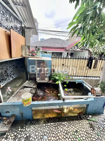 image RUMAH DI TEBET, MENTENG DALAM JAKARTA SELATAN (1)