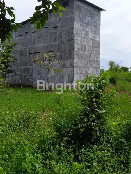 image TANAH PINGGIR SUNGAI MAHAKAM AKSES JALAN COR (3)