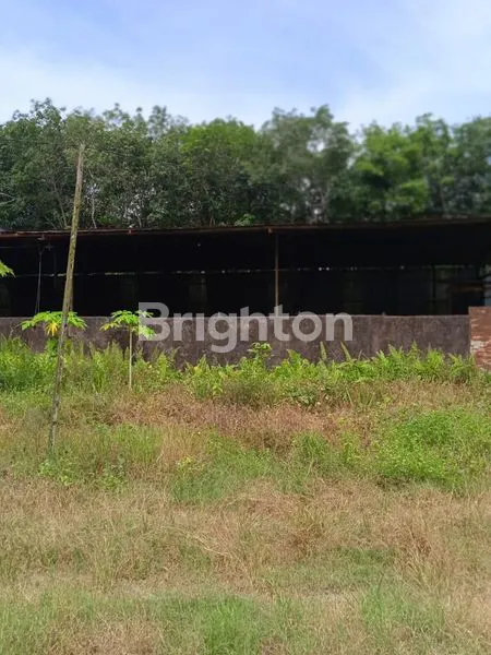 image TANAH PINGGIR SUNGAI MAHAKAM AKSES JALAN COR (5)