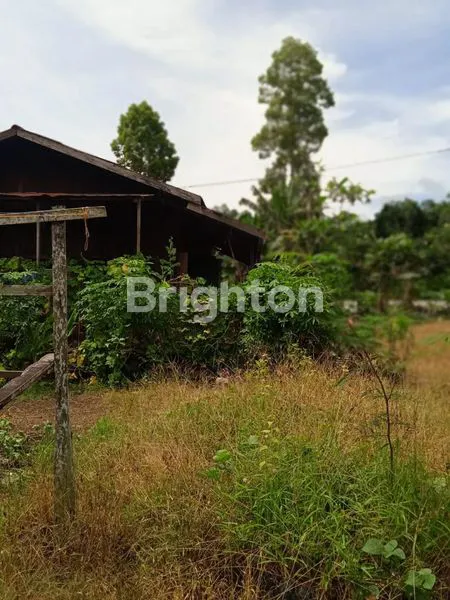 image TANAH PINGGIR SUNGAI MAHAKAM AKSES JALAN COR (6)