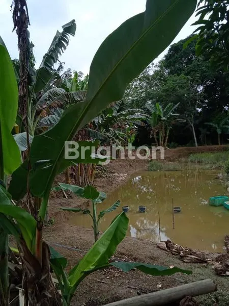 image TANAH PINGGIR SUNGAI MAHAKAM AKSES JALAN COR (8)