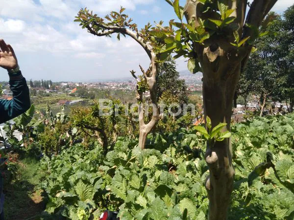 image TANAH MURAH DEKAT CAFE KONGKRITE  BATU (1)