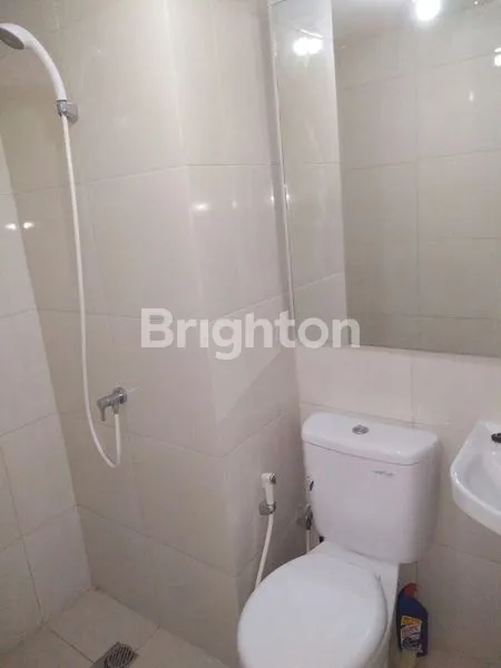 image APT ORCHAD PAKUWONMALL TERMURAH (2)