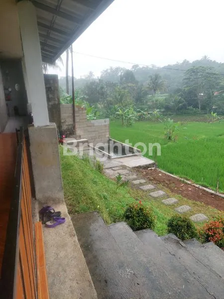 image TANAH BONUS RUMAH KAMPUNG DUKUH KAB. BOGOR DIJUAL CEPAT (2)