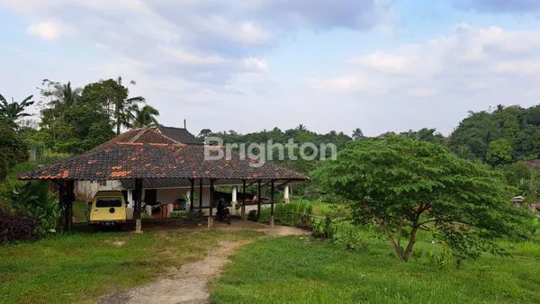 image TANAH BONUS RUMAH KAMPUNG DUKUH KAB. BOGOR DIJUAL CEPAT (3)