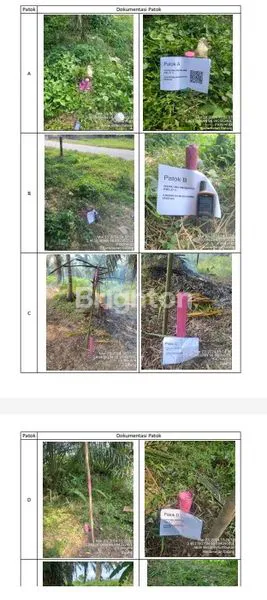 image TANAH LUAS TEPI JALAN GALANG PETUMBUKAN (3)