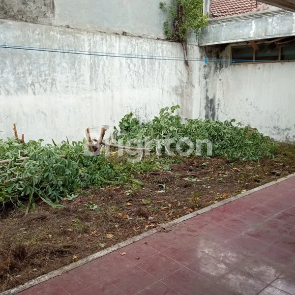 image JUAL TANAH BONUS RUMAH DI MANYAR  (8)