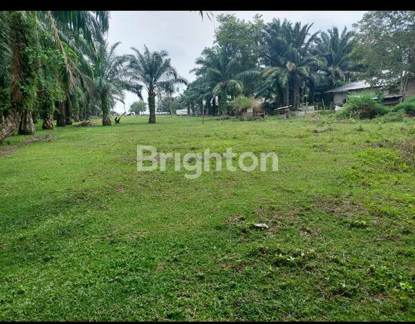 image TANAH CANTIK MENGHADAP KE PANTAI WISATA PASIR PUTIH KONENG KOTA DUMAI (3)