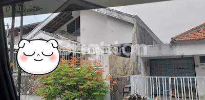 image GAYUNGSARI (1)