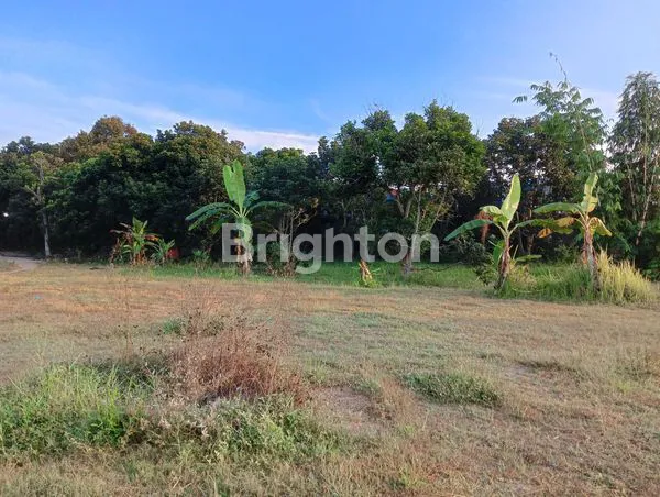 SEBIDANG TANAH DI JL. IR. SOEKARNO KOTA BLITAR