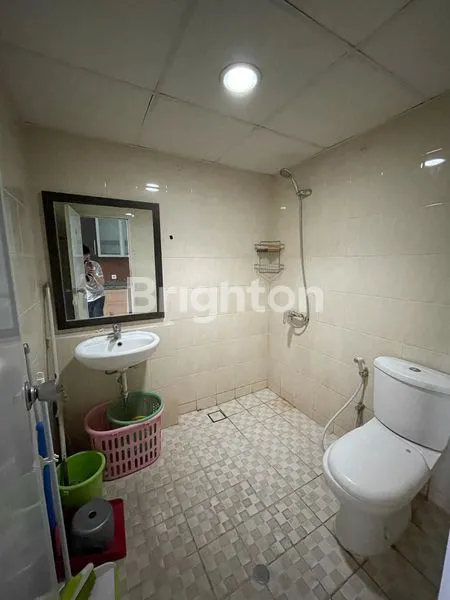 image UC BERKELEY (4)