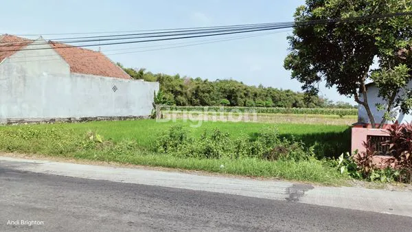 TANAH PEKARANGAN LUAS SIAP BANGUN DI MOJOWARNO JOMBANG