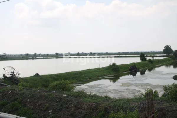 TANAH TAMBAK DI AREA INDUSTRI GRESIK