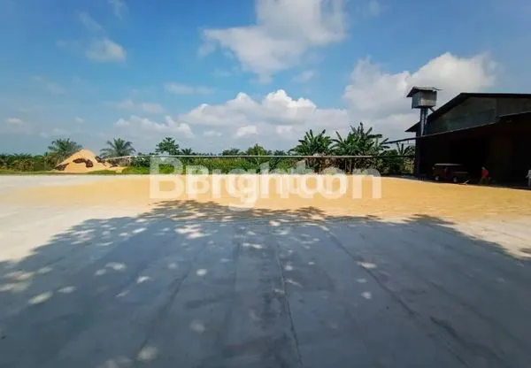 image KILANG PADI AKTIF (1)