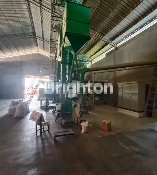 image KILANG PADI AKTIF (6)