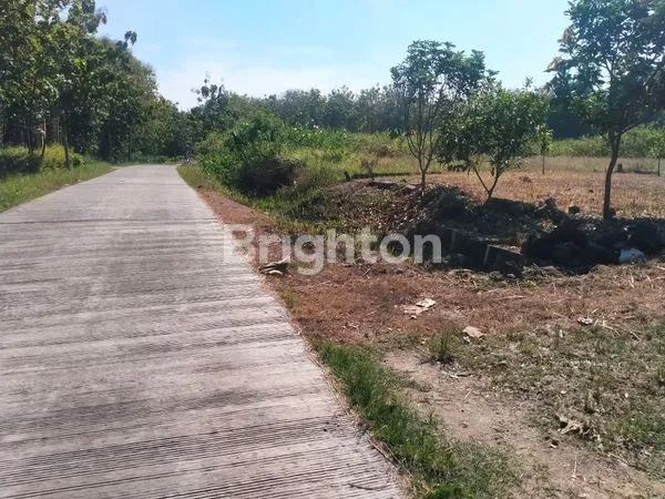 TANAH KAVLING DIJUAL NGAWI JAWA TIMUR