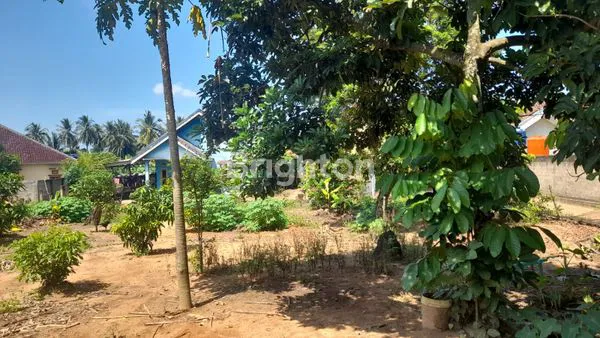 image JUAL TANAH BONUS RUMAH... (5)