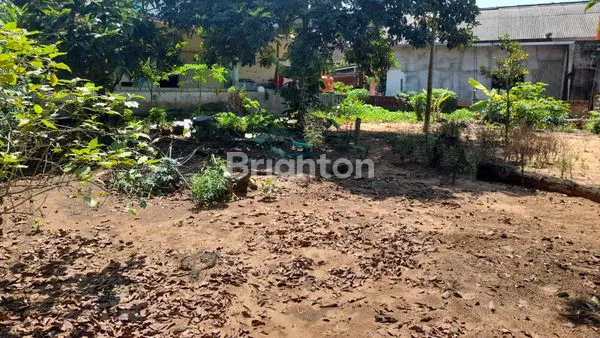 image JUAL TANAH BONUS RUMAH... (6)