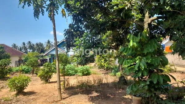 image JUAL TANAH BONUS RUMAH... (7)