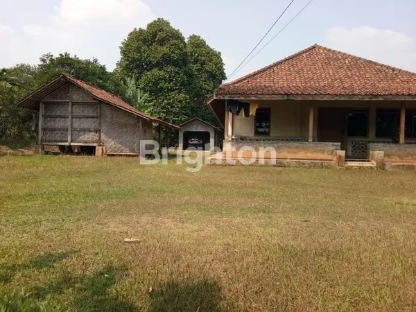 image TANAH BAGUS  DI TAJUR HALANG BOGOR (2)