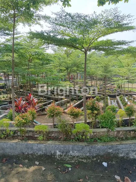 image TANAH TEMATIK + BANGUNAN, COCOK UNTUK GARDEN RESTO & WISATA (2)