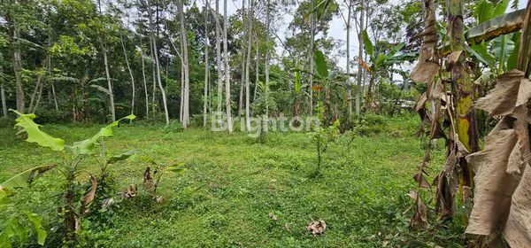 image TANAH STRATEGIS DEKAT KAWASAN INDUSTRI / PABRIK DI DS WRINGIN PUTIH, BERGAS (2)