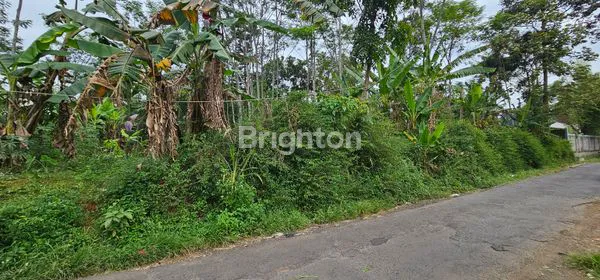 image TANAH STRATEGIS DEKAT KAWASAN INDUSTRI / PABRIK DI DS WRINGIN PUTIH, BERGAS (3)