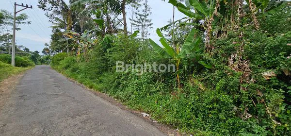 image TANAH STRATEGIS DEKAT KAWASAN INDUSTRI / PABRIK DI DS WRINGIN PUTIH, BERGAS (5)