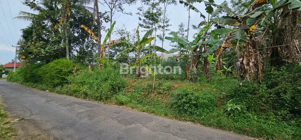 image TANAH STRATEGIS DEKAT KAWASAN INDUSTRI / PABRIK DI DS WRINGIN PUTIH, BERGAS (4)