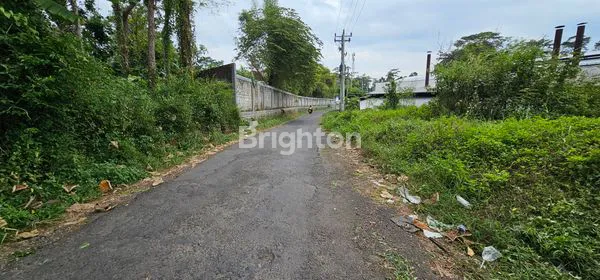 image TANAH STRATEGIS DEKAT KAWASAN INDUSTRI / PABRIK DI DS WRINGIN PUTIH, BERGAS (7)