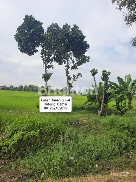 image LAHAN TANAH SIAP PAKAI DEKAT KAWASAN INDUSTRI DI TASIKMADU KARANGANYAR (1)