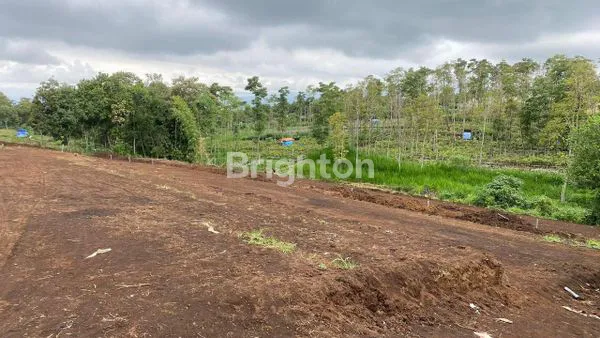 image MURAH TANAH DI KARANGPLOSO (1)