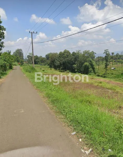 image MURAH TANAH DI KARANGPLOSO (2)